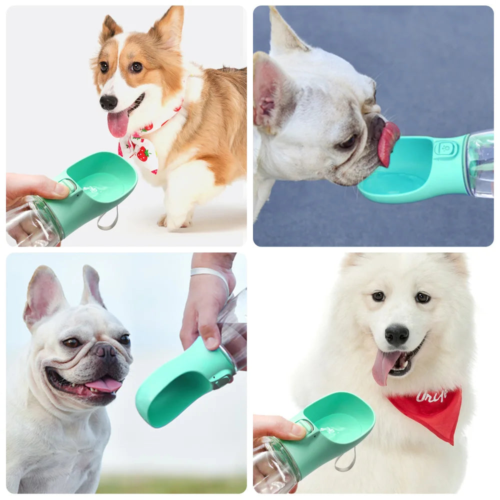 Portable Paws & Sip™ Water Bottle